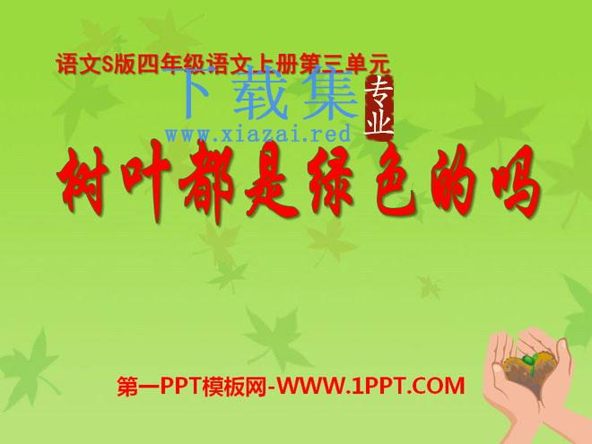 《树叶都是绿色的吗》PPT课件5