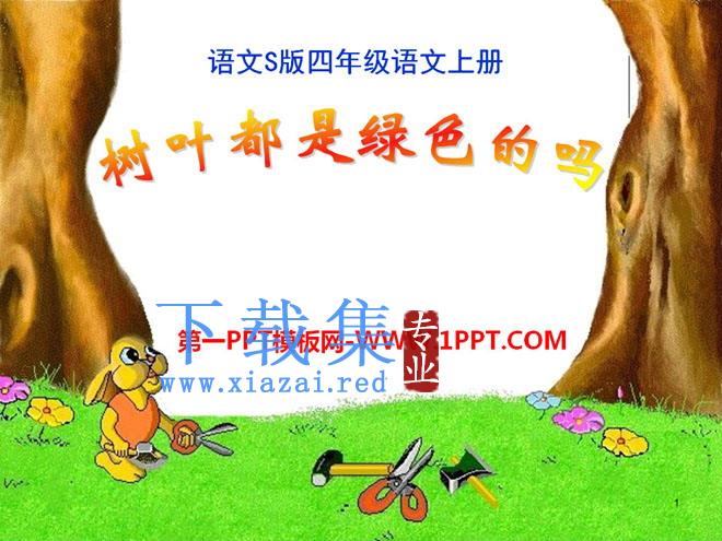 《树叶都是绿色的吗》PPT课件6