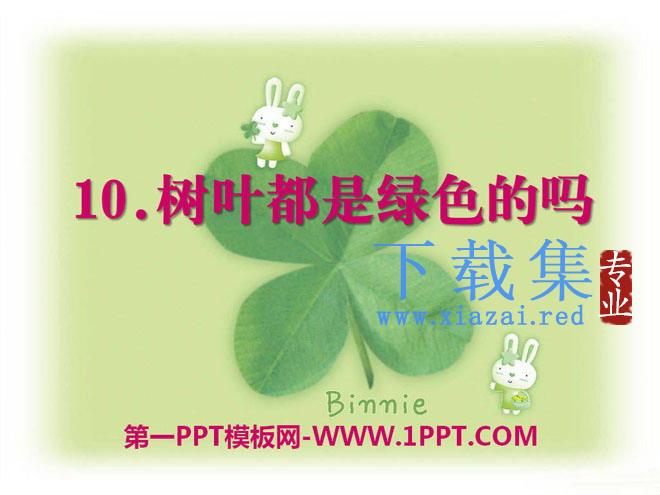 《树叶都是绿色的吗》PPT课件7