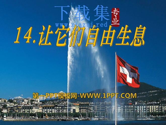 《让它们自由生息》PPT课件