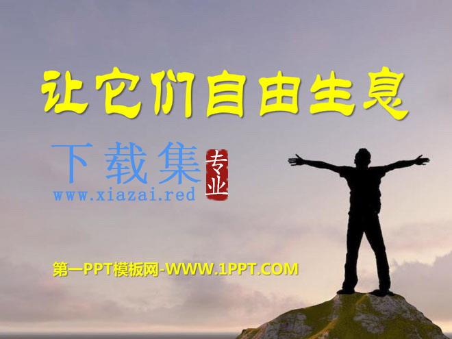 《让它们自由生息》PPT课件2