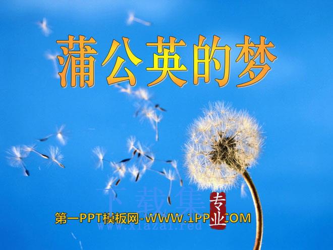 《蒲公英的梦》PPT课件