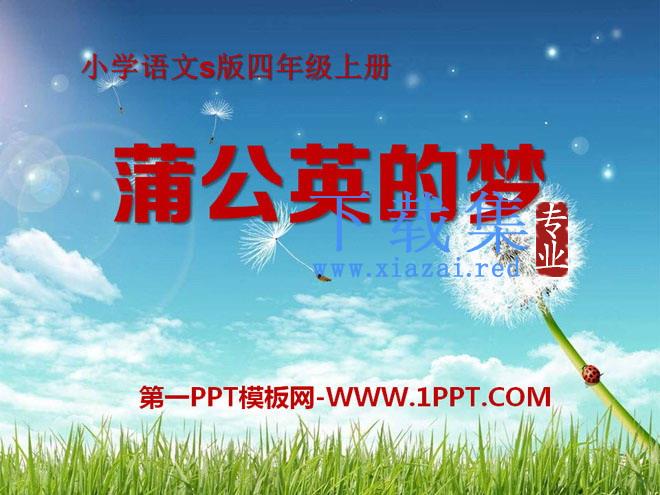《蒲公英的梦》PPT课件2
