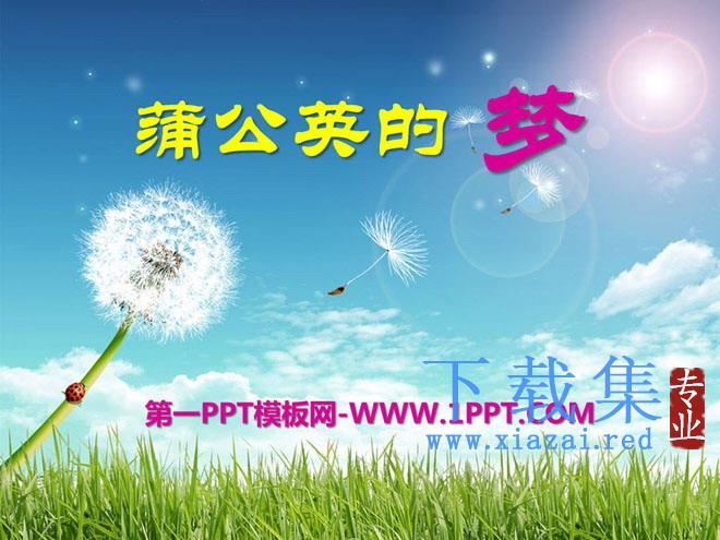 《蒲公英的梦》PPT课件3