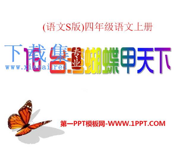 《台湾蝴蝶甲天下》PPT课件3