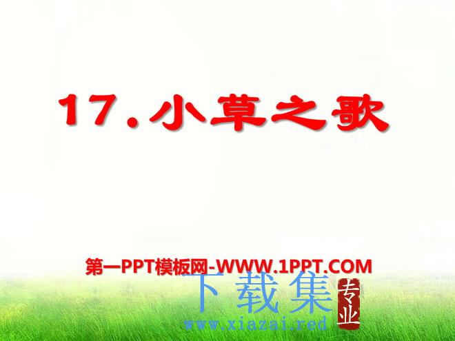 《小草之歌》PPT课件3