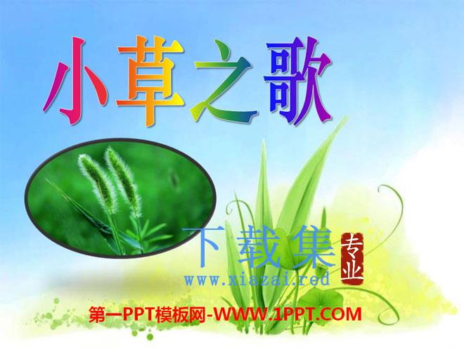 《小草之歌》PPT课件4