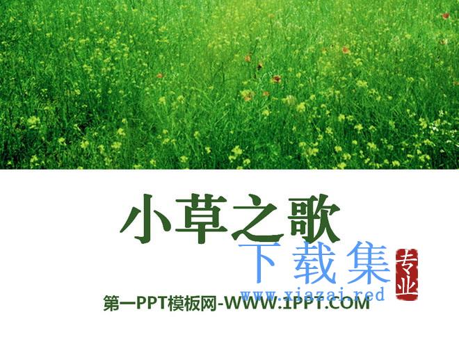 《小草之歌》PPT课件5