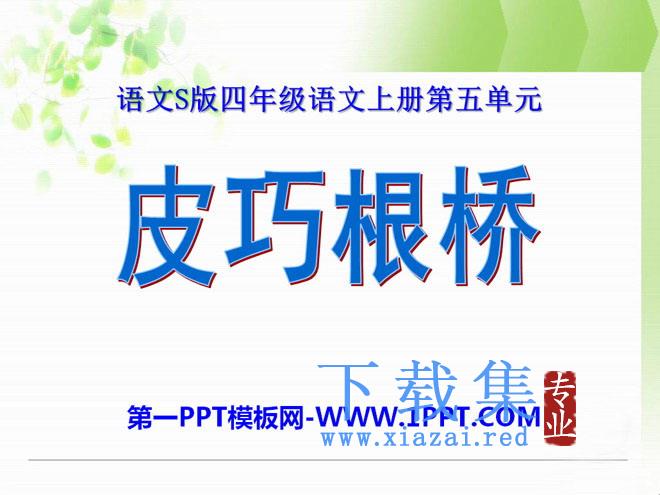《皮巧根桥》PPT课件5