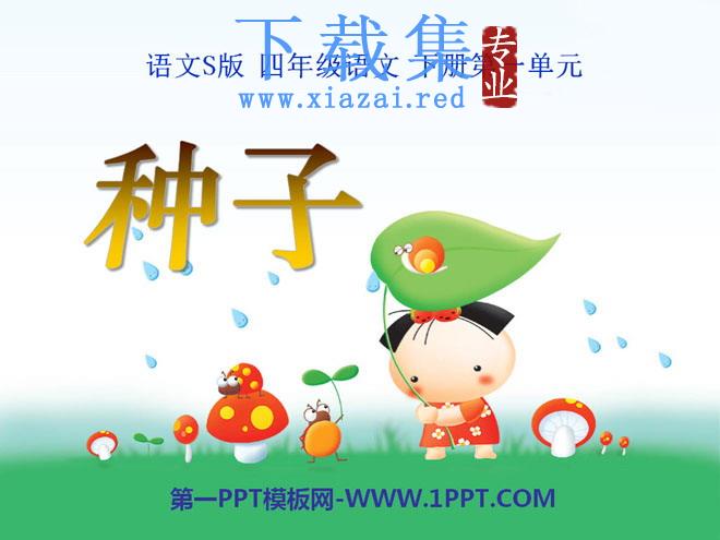 《种子》PPT课件3