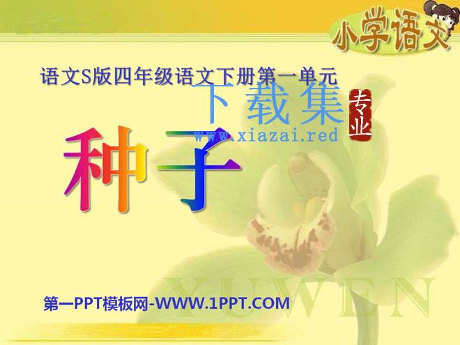 《种子》PPT课件4