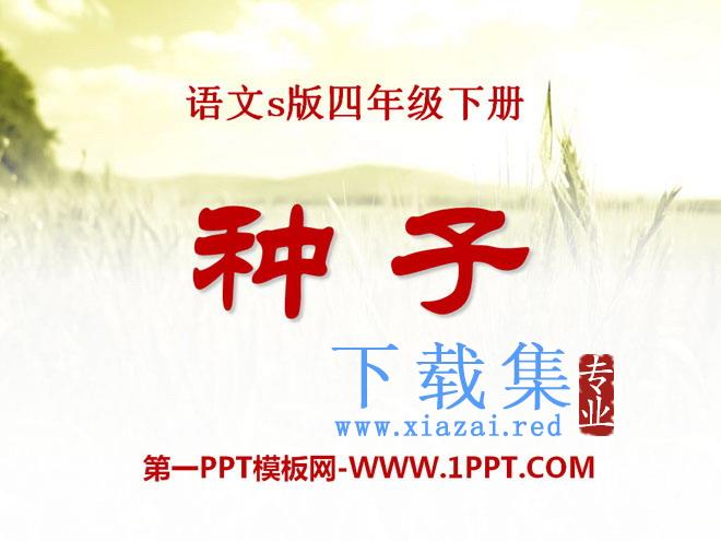 《种子》PPT课件5