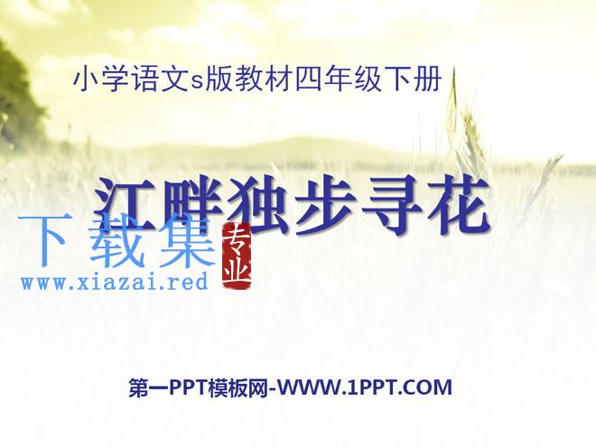 《江畔独步寻花》PPT课件8