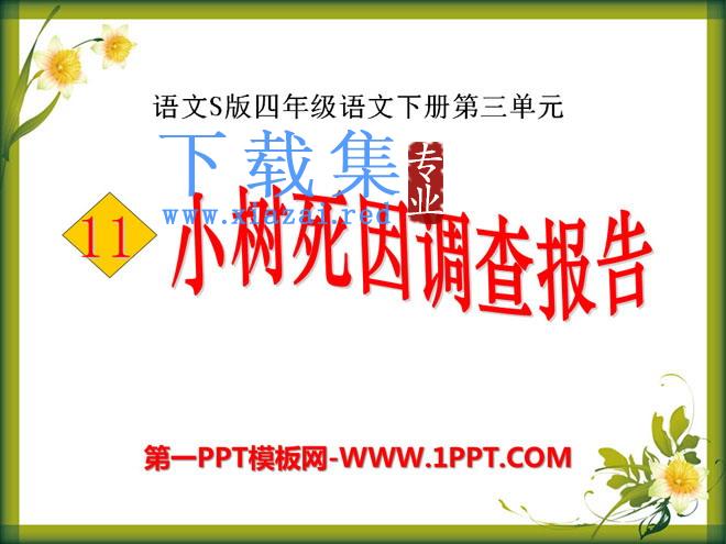 《小树死因调查报告》PPT课件