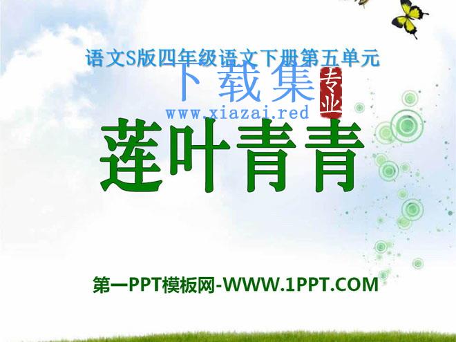 《莲叶青青》PPT课件3