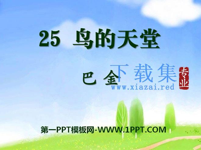 《鸟的天堂》PPT课件8