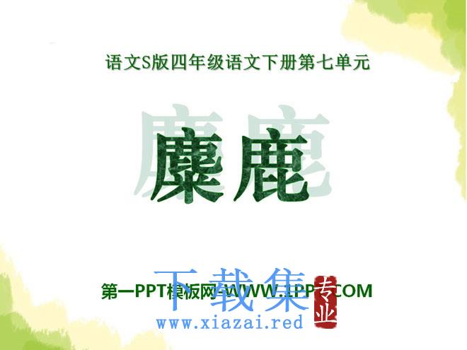 《麋鹿》PPT课件6