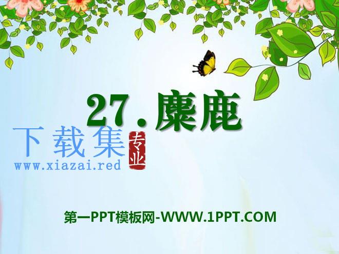 《麋鹿》PPT课件8