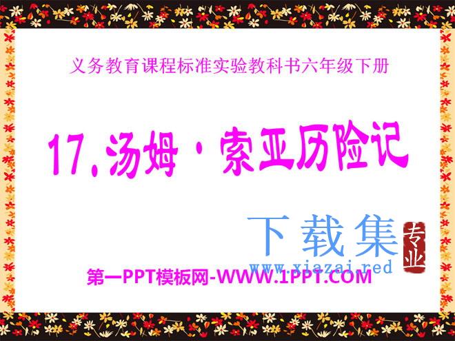 《汤姆·索亚历险记》PPT课件7