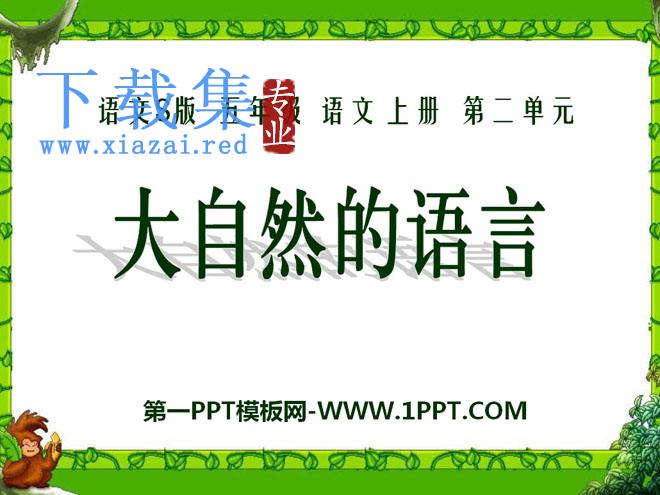 《大自然的语言》PPT课件14