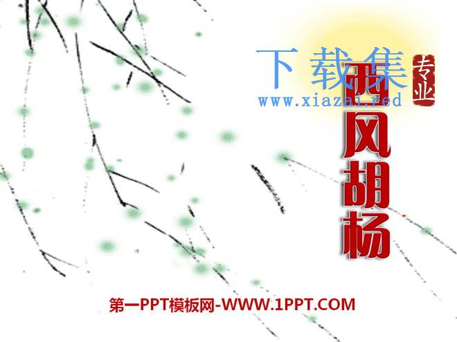 《西风胡杨》PPT课件