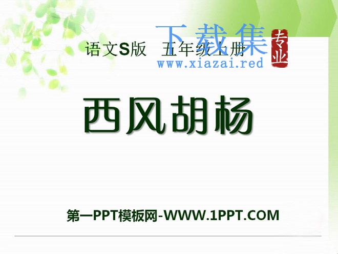 《西风胡杨》PPT课件2
