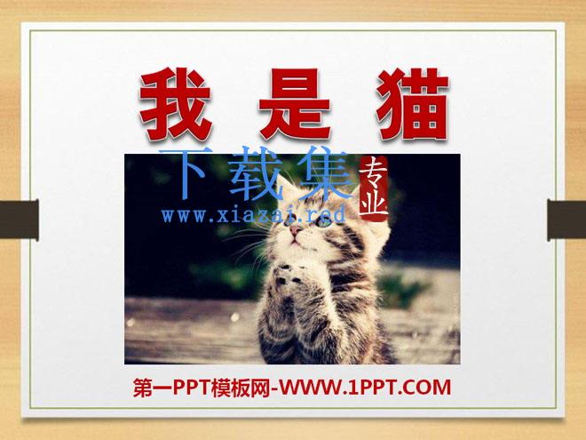 《我是猫》PPT课件2