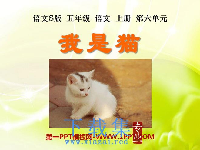 《我是猫》PPT课件4