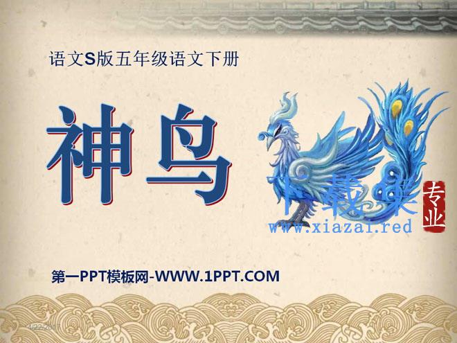 《神鸟》PPT课件