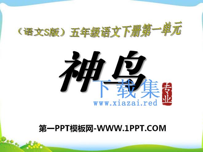 《神鸟》PPT课件2