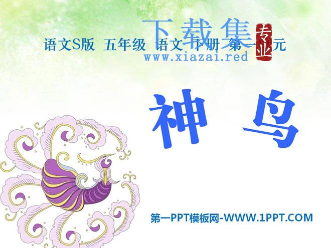 《神鸟》PPT课件3
