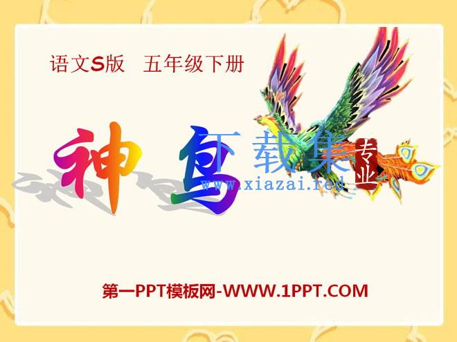《神鸟》PPT课件4