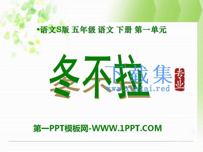 《冬不拉》PPT课件2