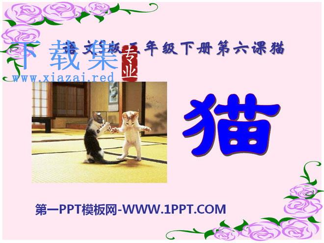 《猫》PPT课件7