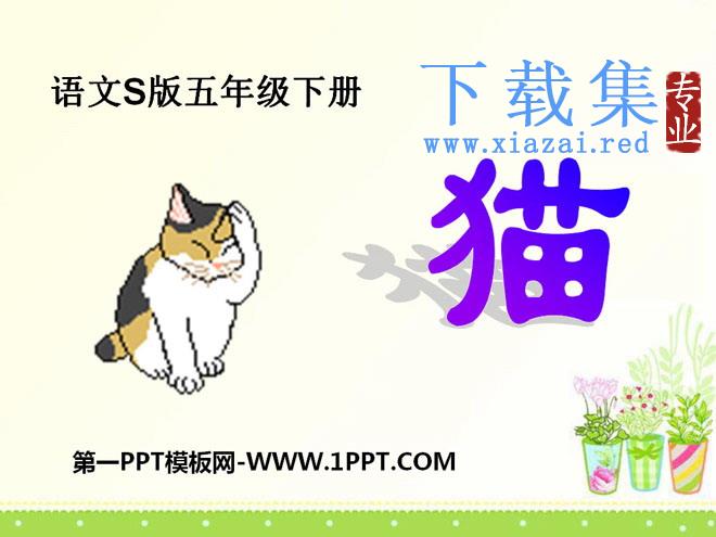 《猫》PPT课件8