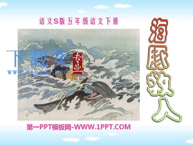 《海豚救人》PPT课件2