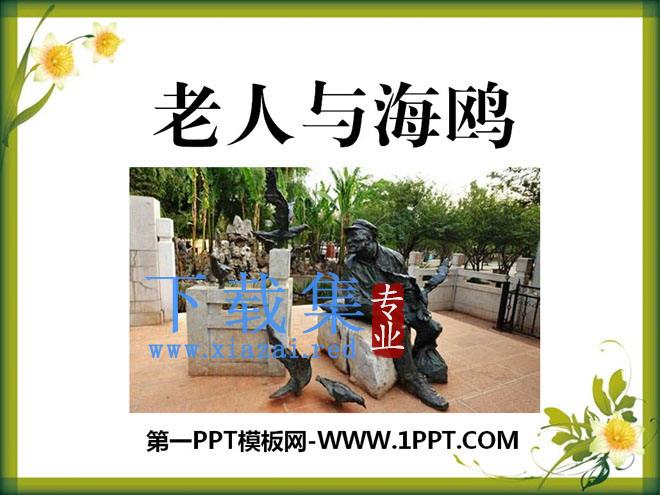 《老人与海鸥》PPT课件9