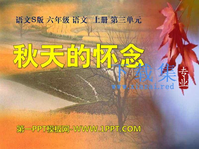 《秋天的怀念》PPT课件7
