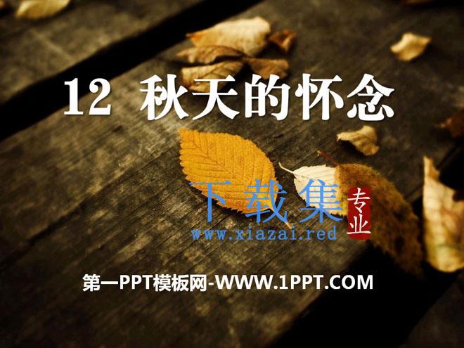 《秋天的怀念》PPT课件8