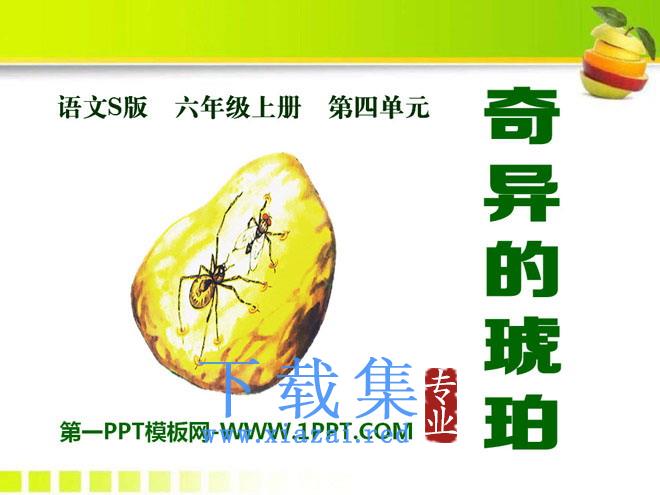 《奇异的琥珀》PPT课件