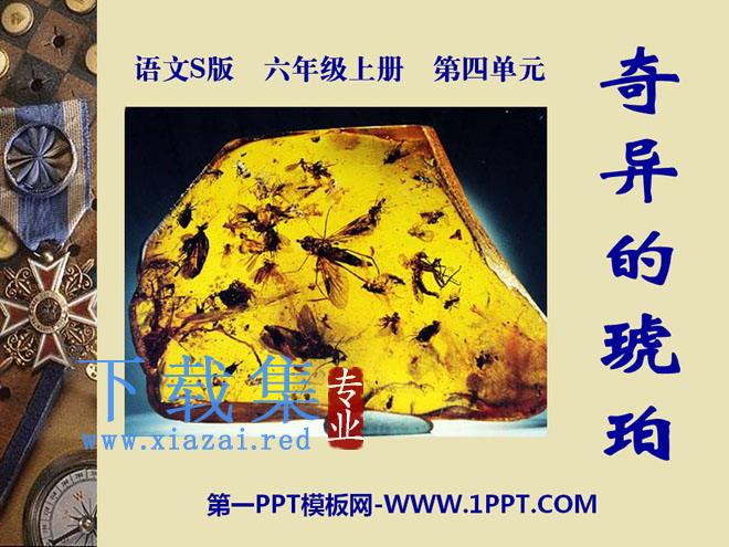 《奇异的琥珀》PPT课件2