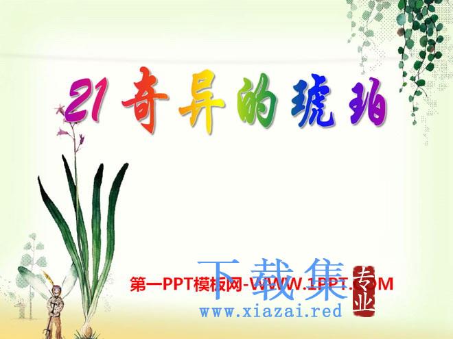 《奇异的琥珀》PPT课件3