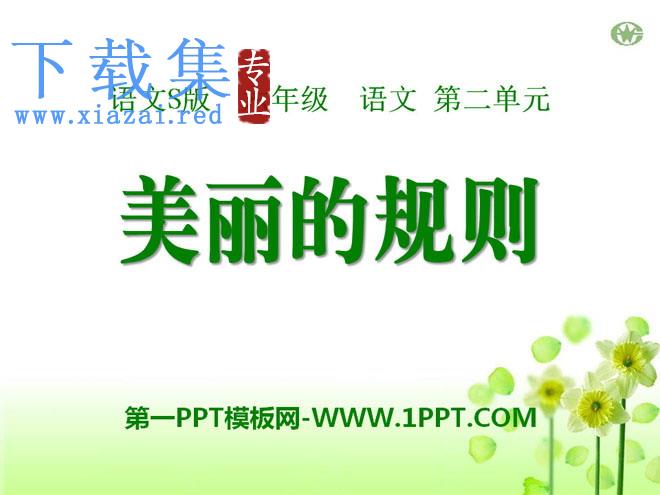 《美丽的规则》PPT课件