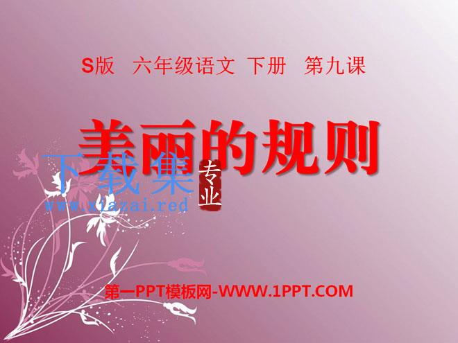 《美丽的规则》PPT课件3