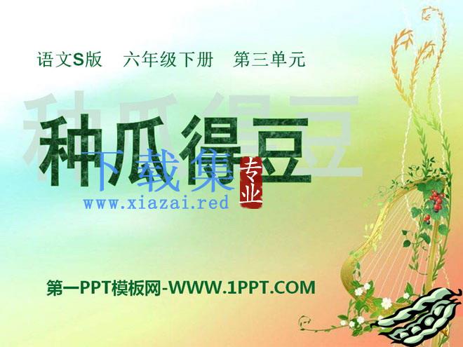 《种瓜得豆》PPT课件