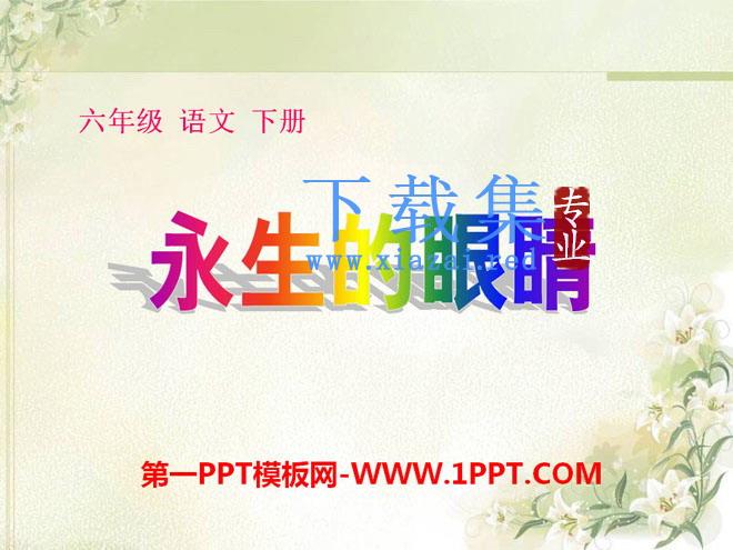 《永生的眼睛》PPT课件7