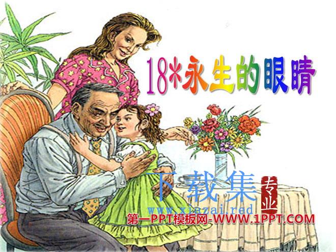《永生的眼睛》PPT课件8