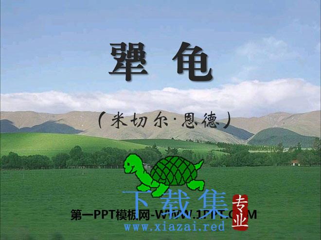 《犟龟》PPT课件