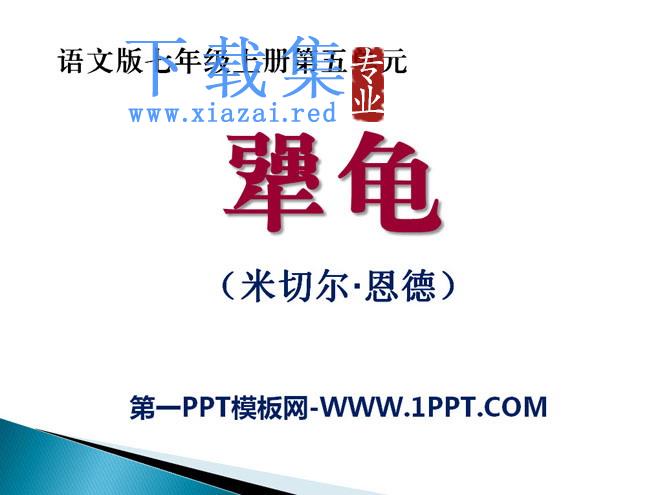 《犟龟》PPT课件2