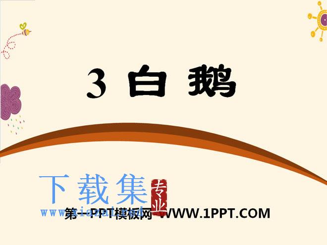 《白鹅》PPT课件10